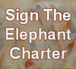 Signatories page The Elephant Charter